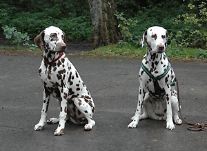 Emma und Fleur